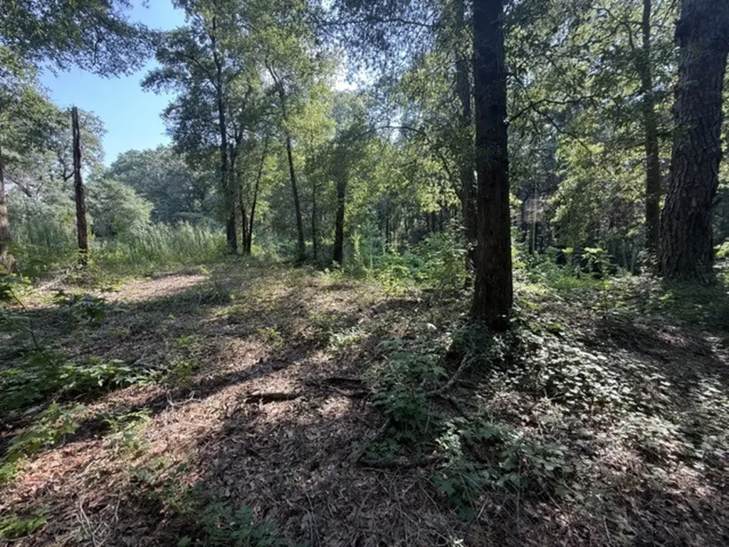Spring Street Newton AL 36352