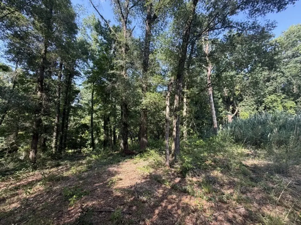Spring Street Newton AL 36352