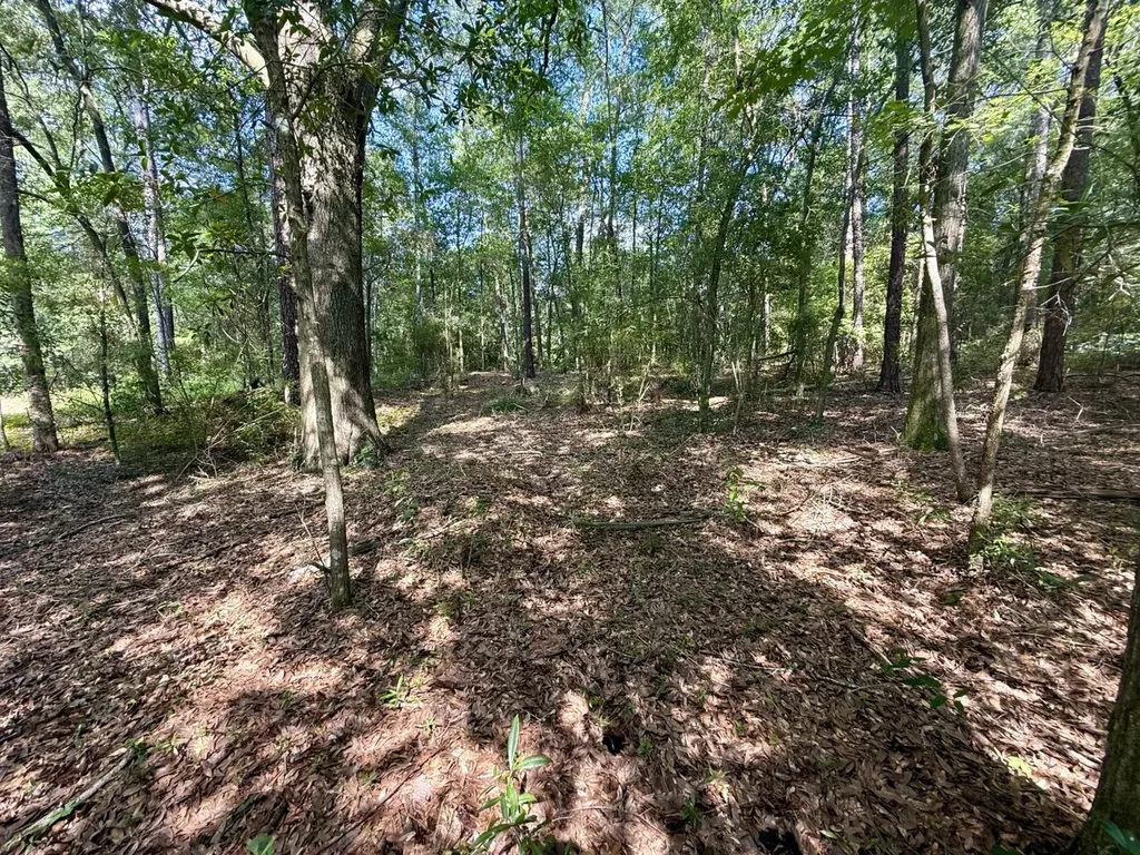 Mrytle Street Daleville AL 36322