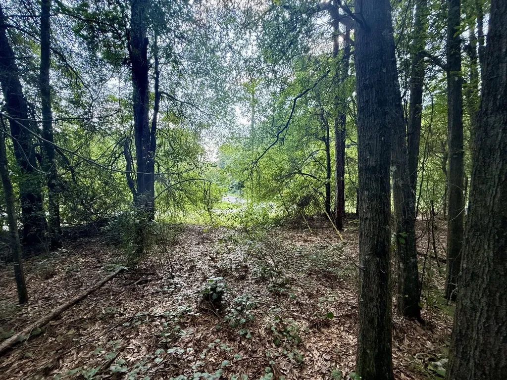 Mrytle Street Daleville AL 36322
