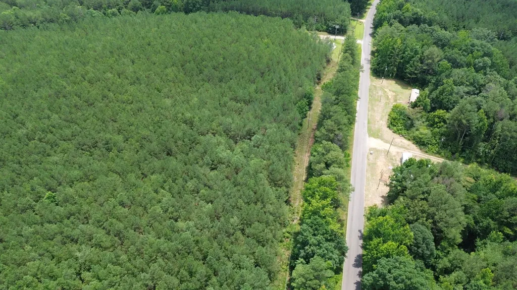0 County Road 40 Brilliant AL 35548