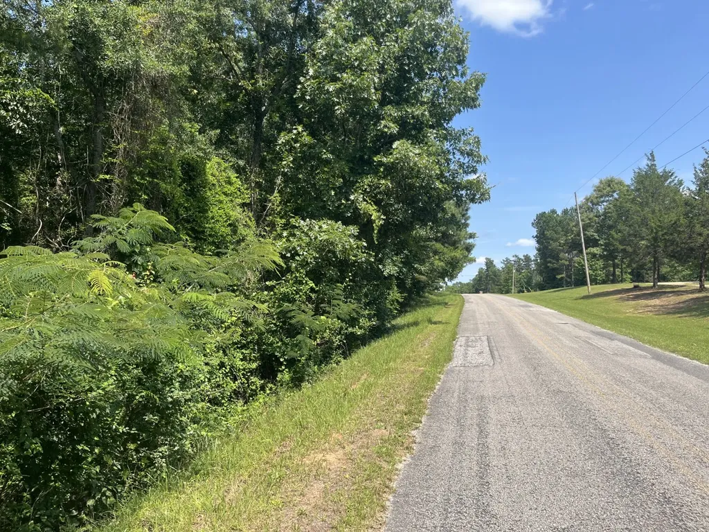0 Mount Willing Road Guin AL 35563