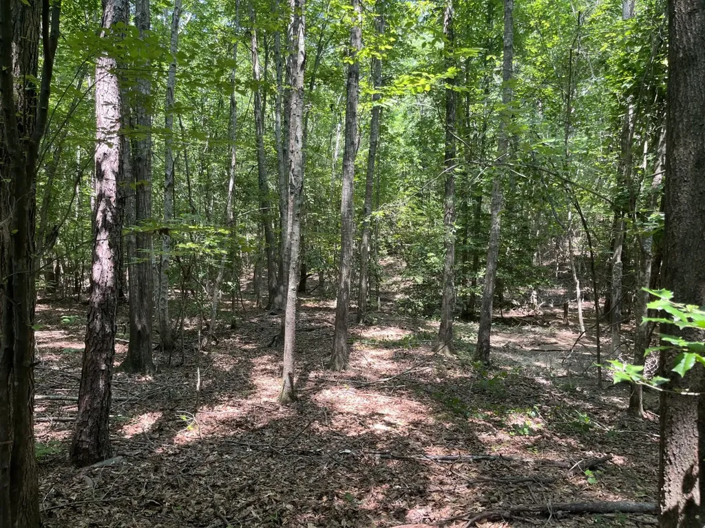 0 Mount Willing Road Guin AL 35563