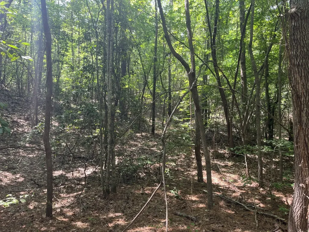 0 Mount Willing Road Guin AL 35563