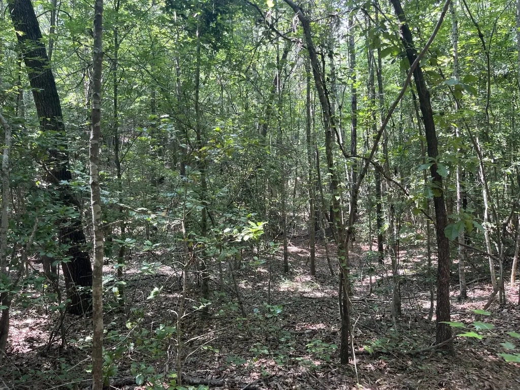 0 Mount Willing Road Guin AL 35563