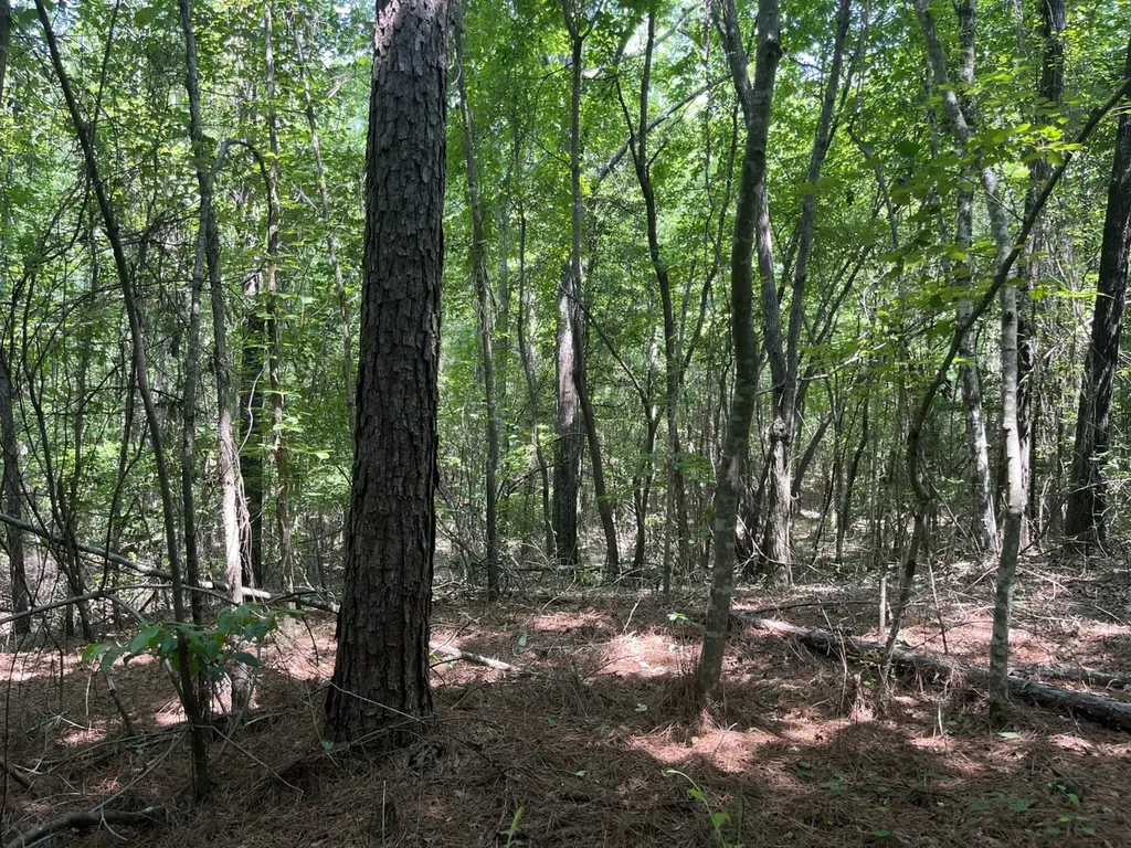 0 Mount Willing Road Guin AL 35563
