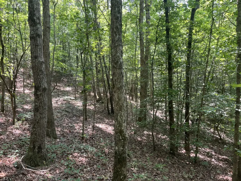 0 Mount Willing Road Guin AL 35563