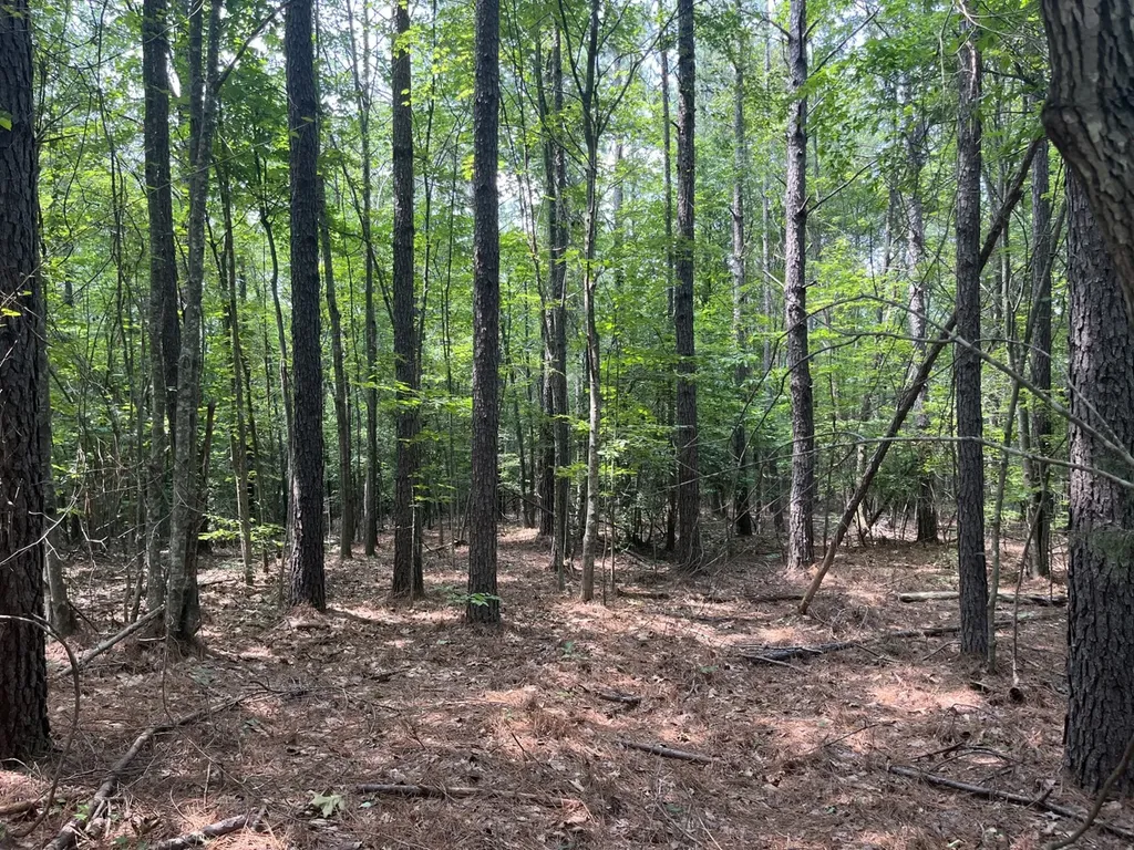 0 Mount Willing Road Guin AL 35563