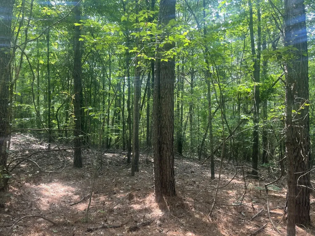 0 Mount Willing Road Guin AL 35563