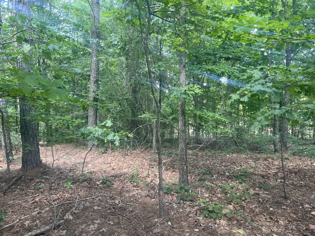 0 Mount Willing Road Guin AL 35563