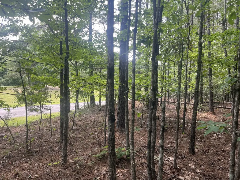 0 Mount Willing Road Guin AL 35563