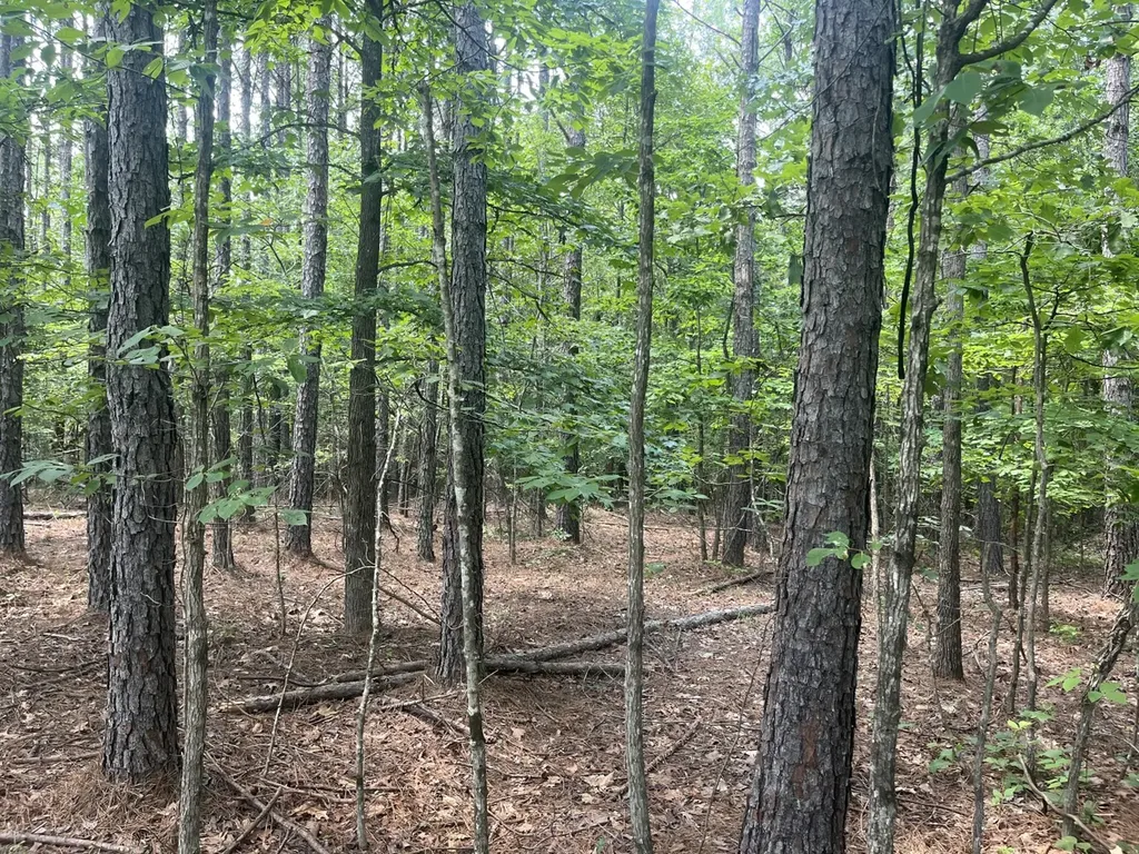 0 Mount Willing Road Guin AL 35563