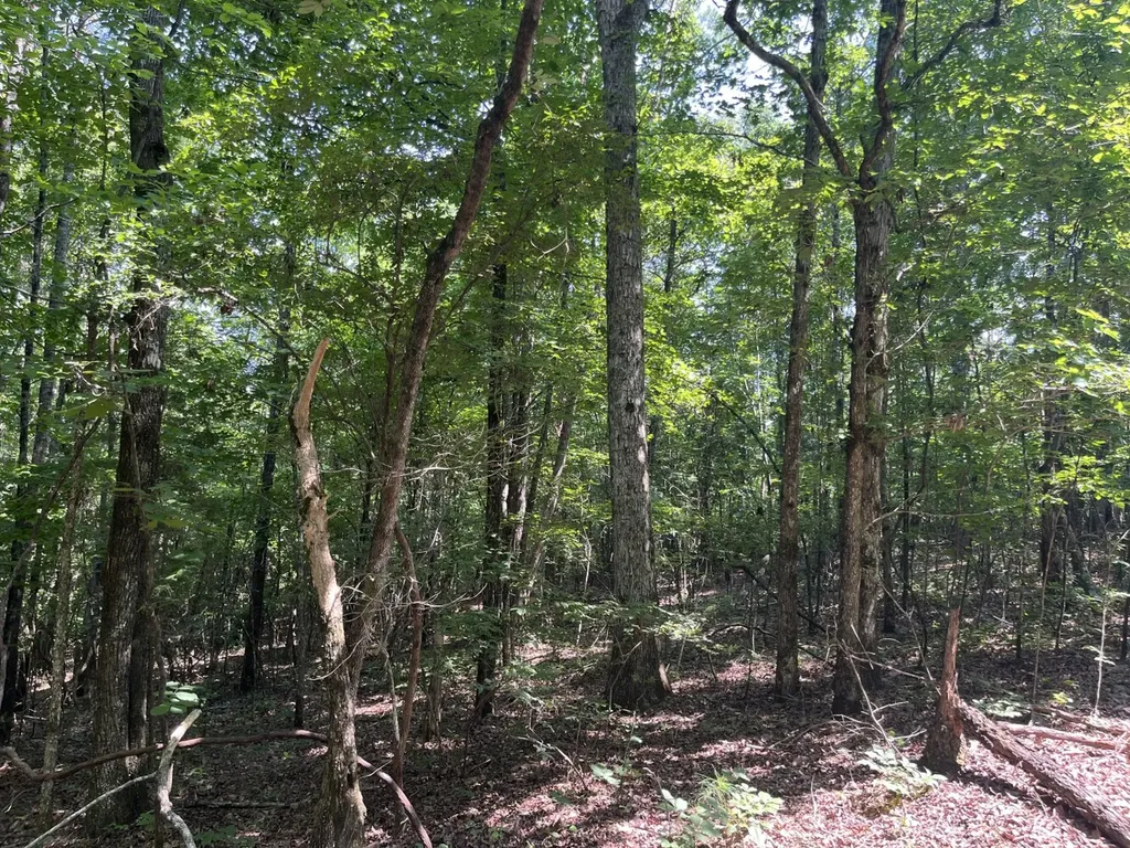 0 Mount Willing Road Guin AL 35563