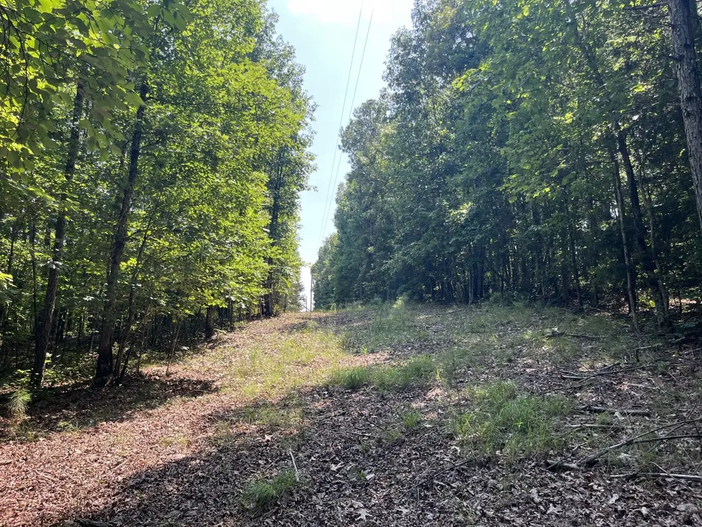 0 Mount Willing Road Guin AL 35563