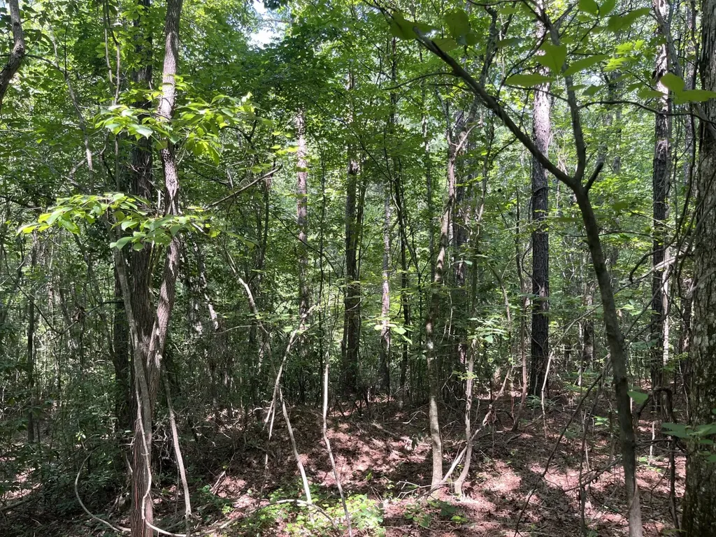 0 Mount Willing Road Guin AL 35563