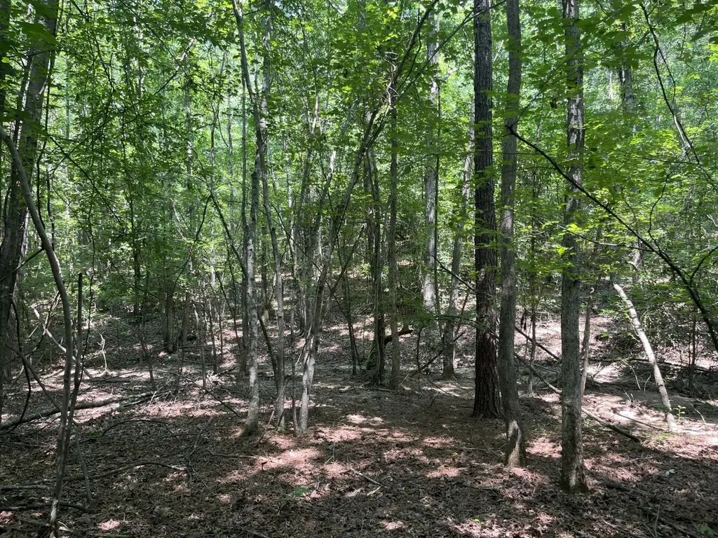 0 Mount Willing Road Guin AL 35563