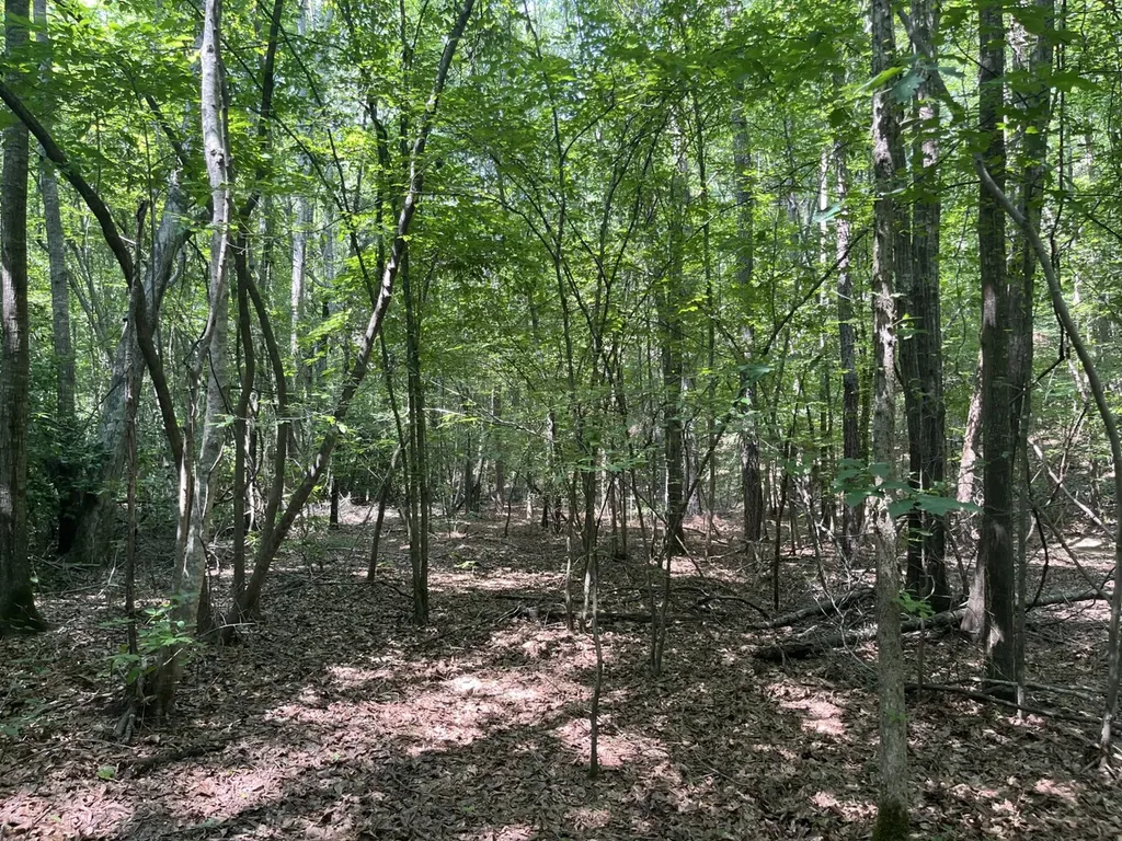 0 Mount Willing Road Guin AL 35563