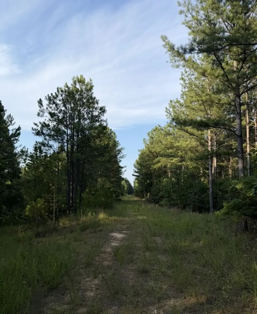 634 Foxtail Path Westover AL 35147