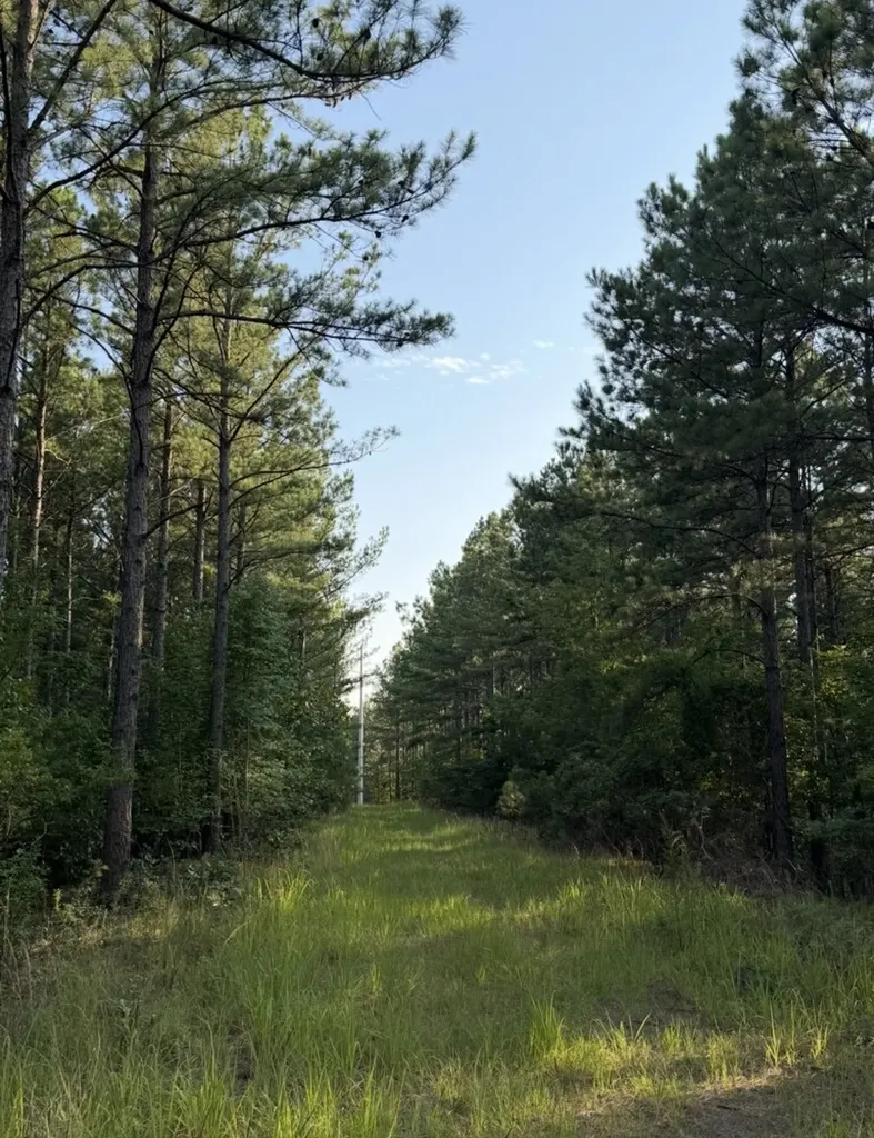 634 Foxtail Path Westover AL 35147