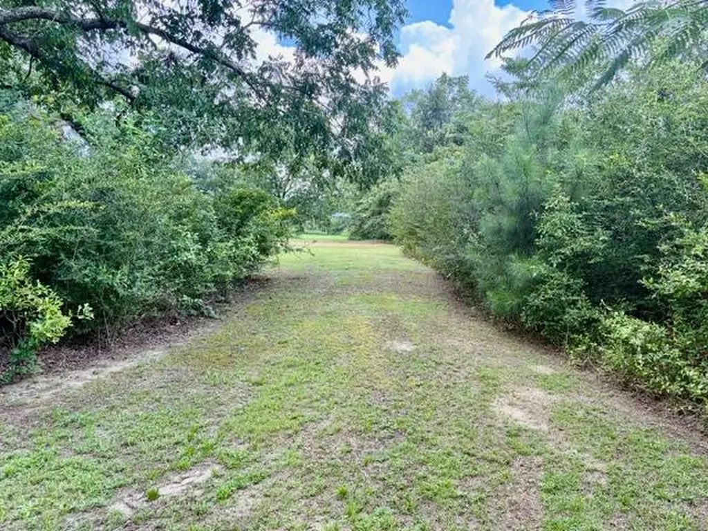 17674 Opp Highway Dozier AL 36028