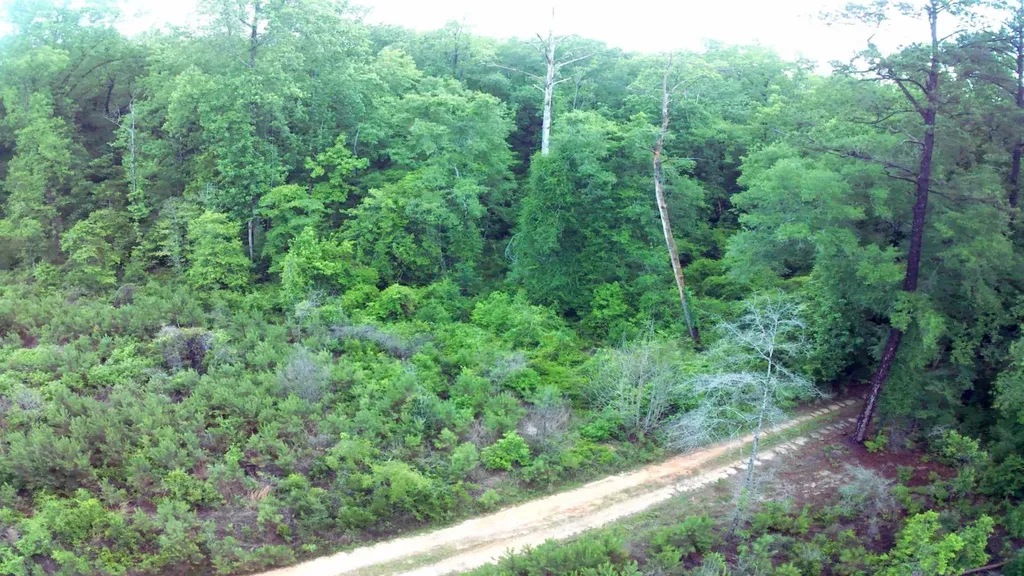 0 County Road 35 Evergreen AL 36401