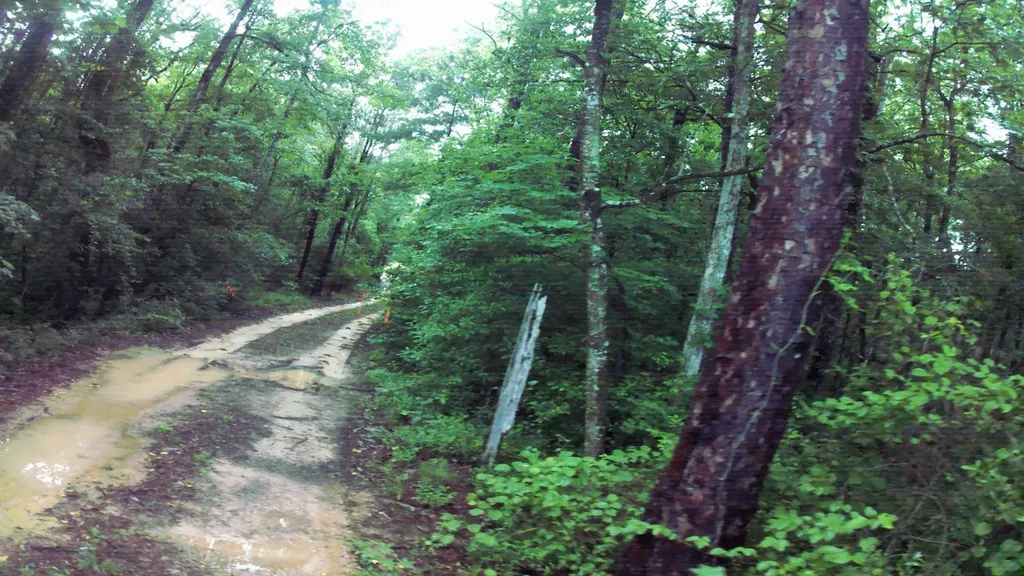 0 County Road 35 Evergreen AL 36401