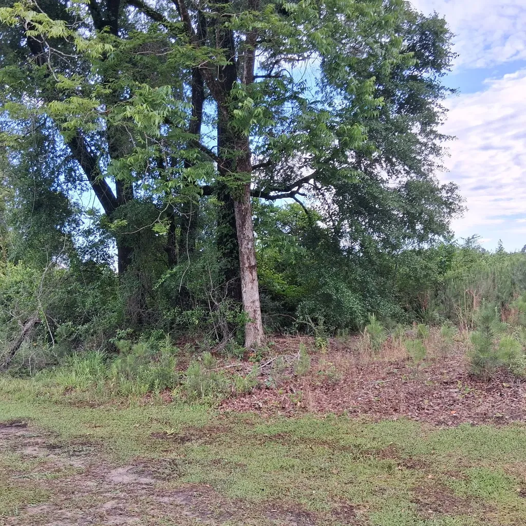 0 County Road 35 Evergreen AL 36401