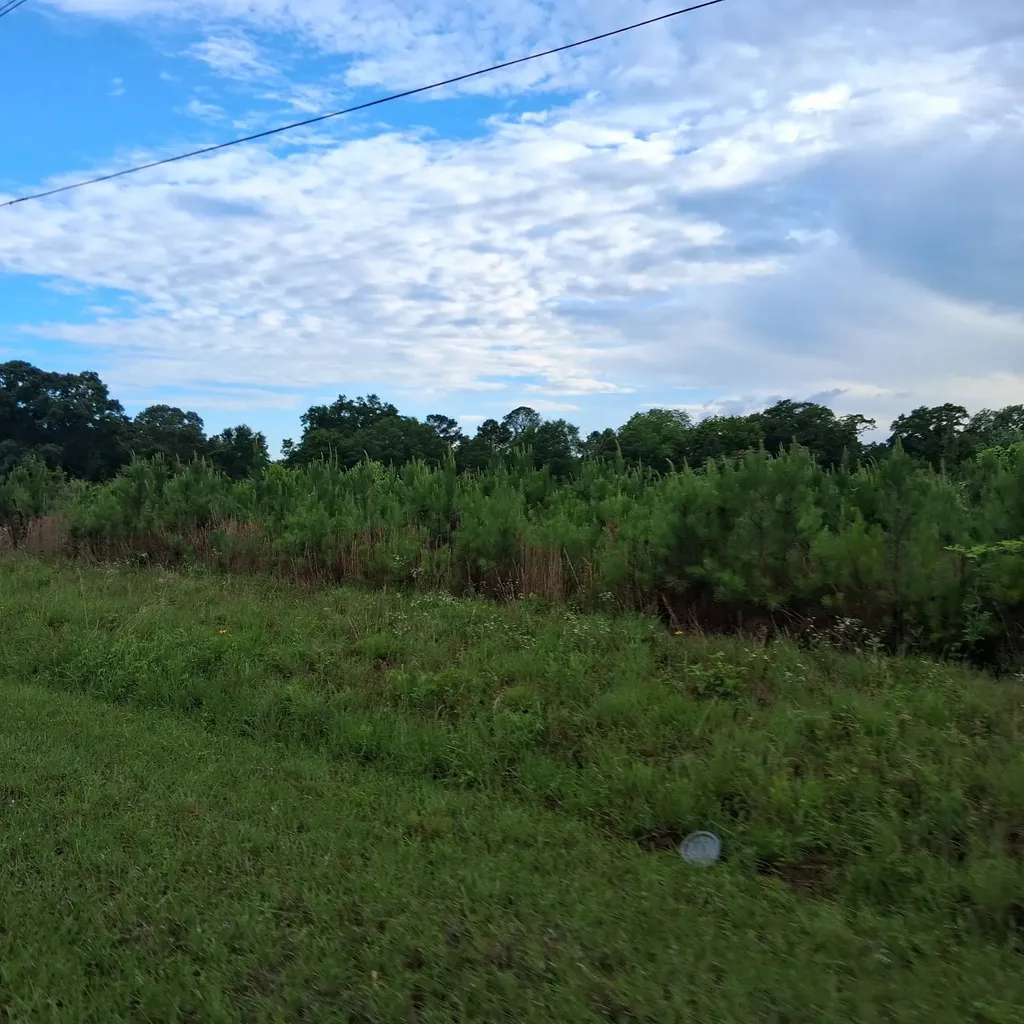 0 County Road 35 Evergreen AL 36401