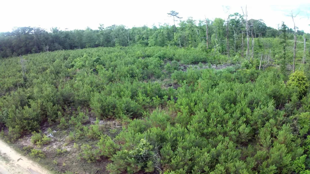 0 County Road 35 Evergreen AL 36401