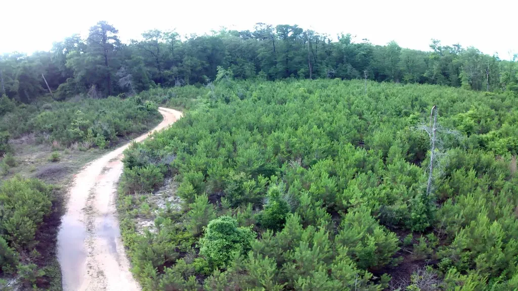 0 County Road 35 Evergreen AL 36401