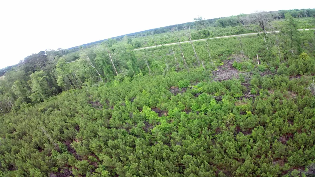 0 County Road 35 Evergreen AL 36401