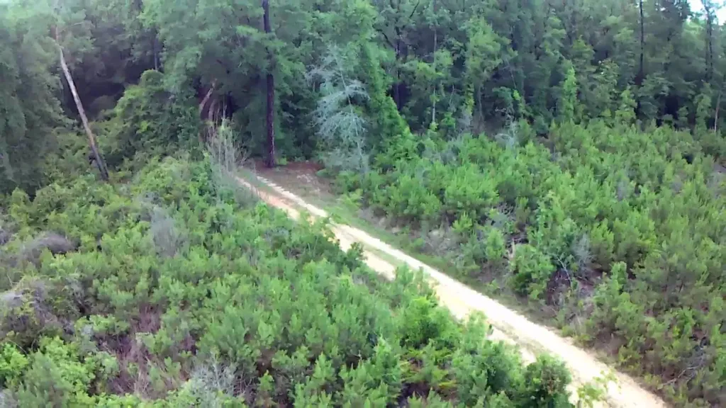 0 County Road 35 Evergreen AL 36401