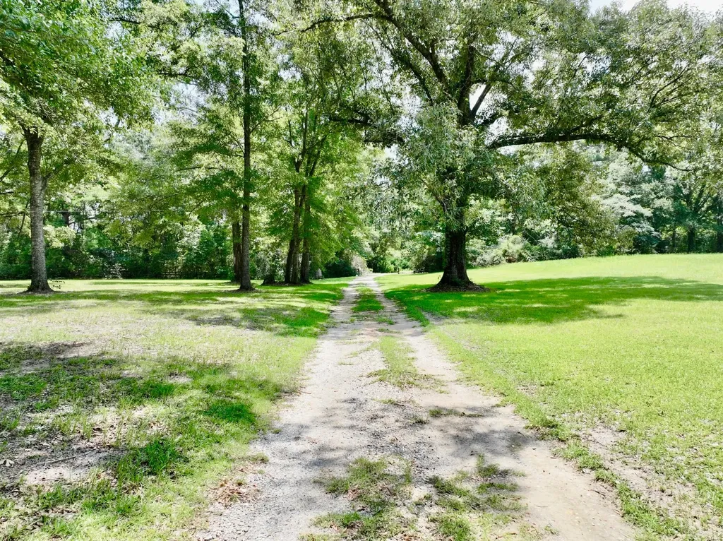 831 Pully Road Calvert AL 36513