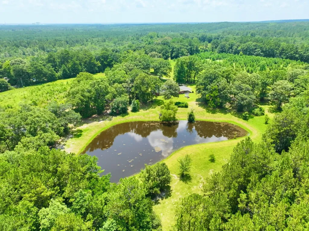 831 Pully Road Calvert AL 36513