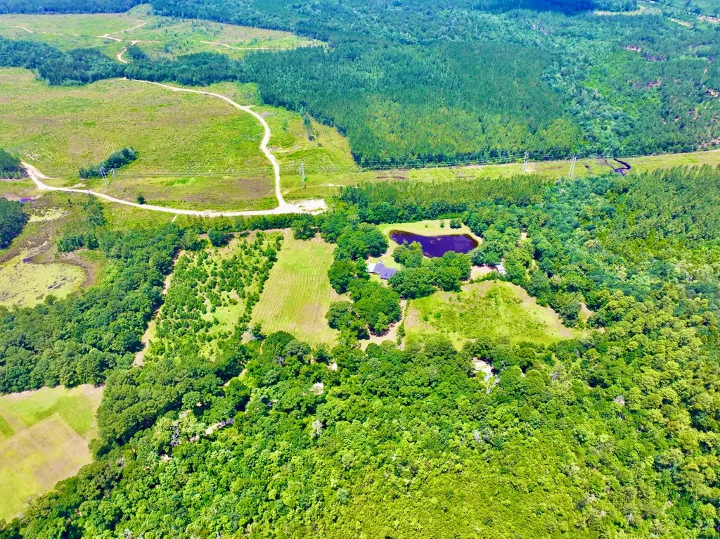 831 Pully Road Calvert AL 36513