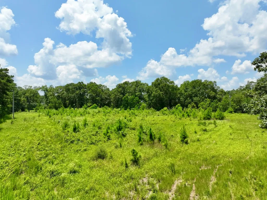 831 Pully Road Calvert AL 36513