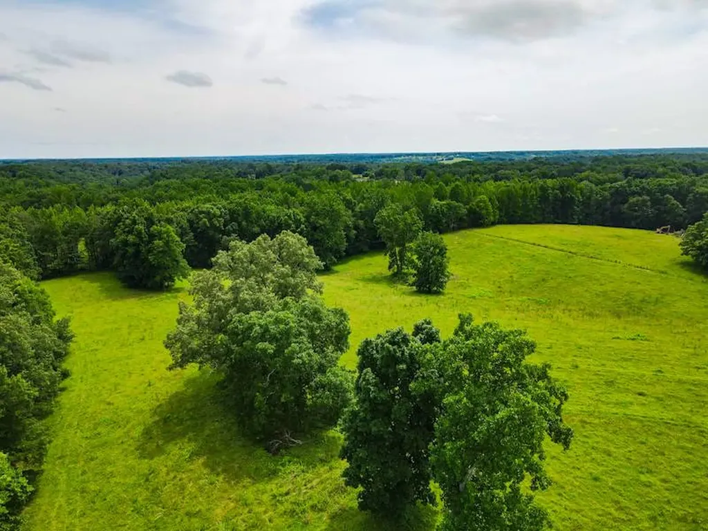 0 County Road 496 Lexington AL 35648