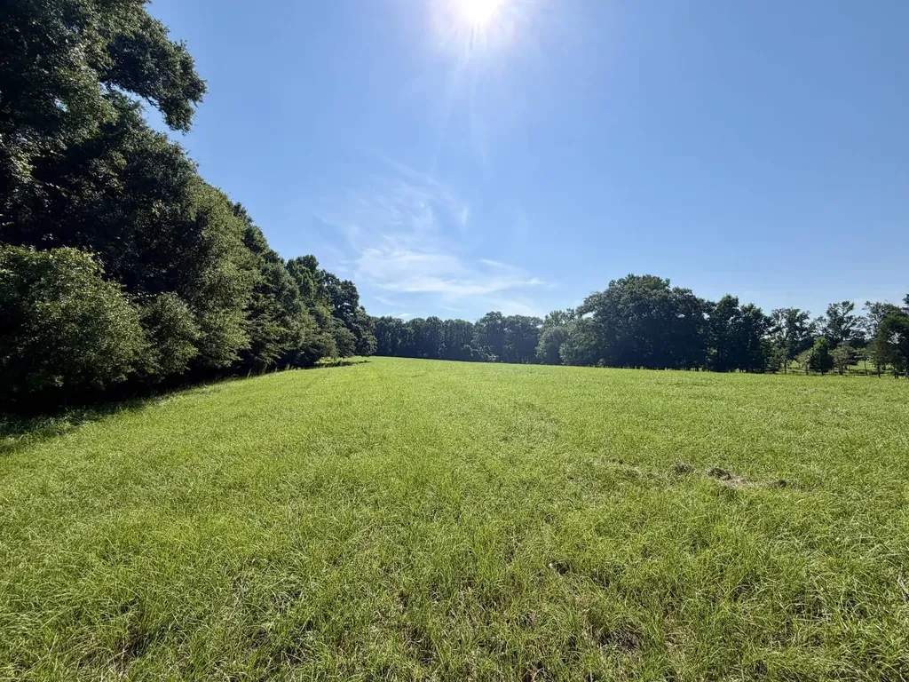 0 Ballard Road Rutledge AL 36071