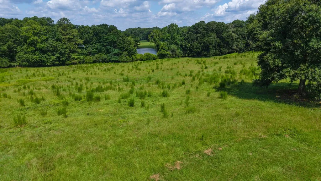 0 Ballard Road Rutledge AL 36071