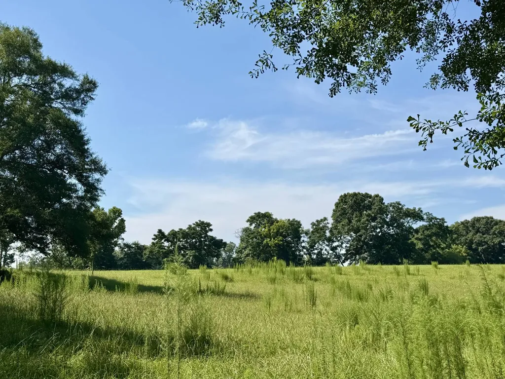 0 Ballard Road Rutledge AL 36071