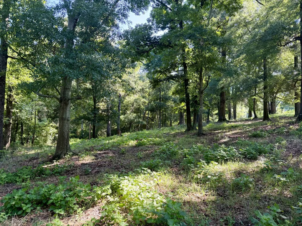 0 Ballard Road Rutledge AL 36071