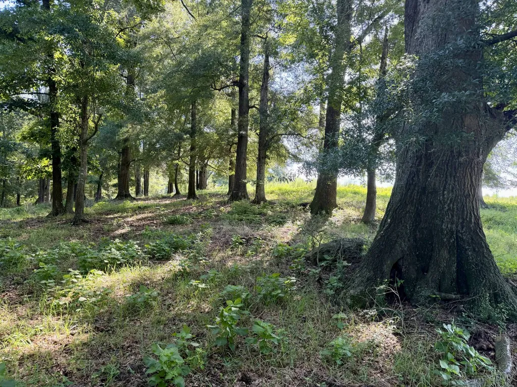 0 Ballard Road Rutledge AL 36071