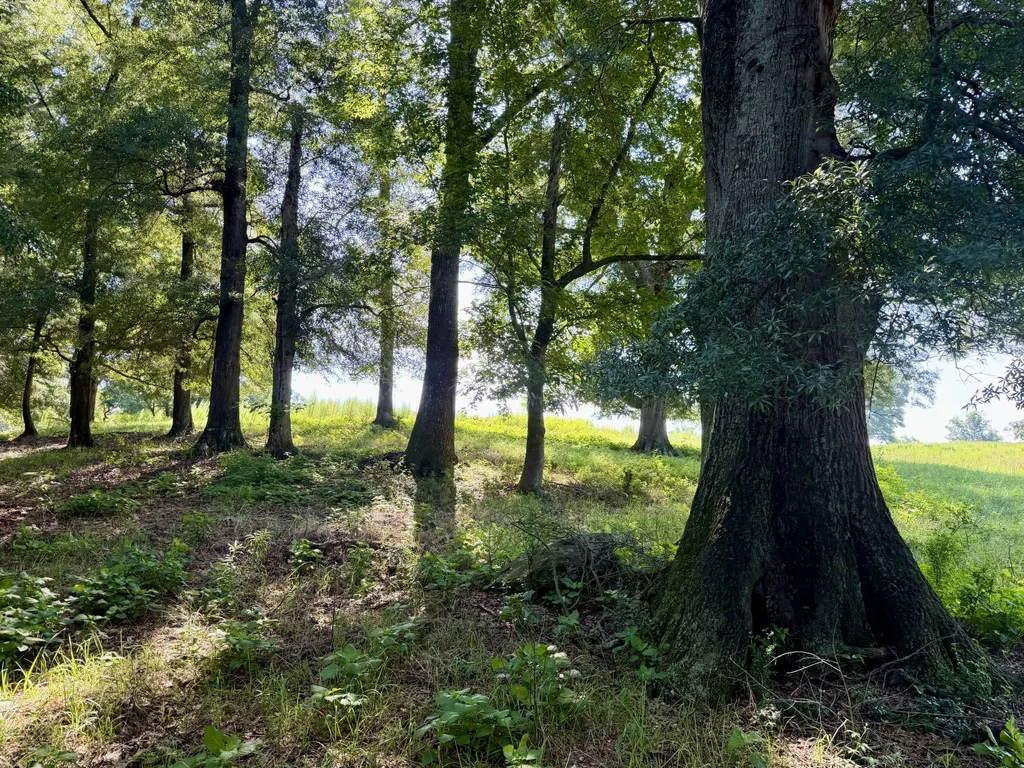 0 Ballard Road Rutledge AL 36071