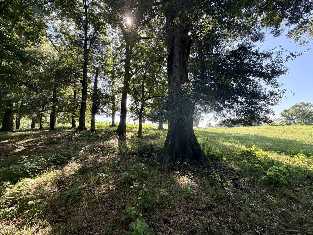0 Ballard Road Rutledge AL 36071