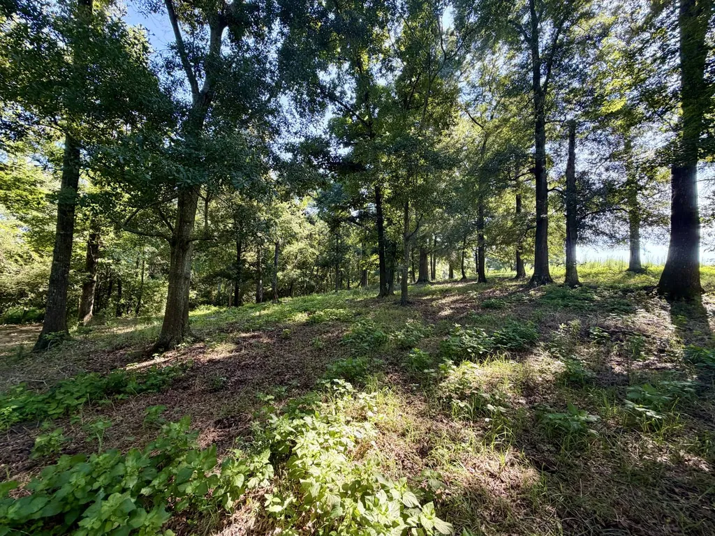 0 Ballard Road Rutledge AL 36071