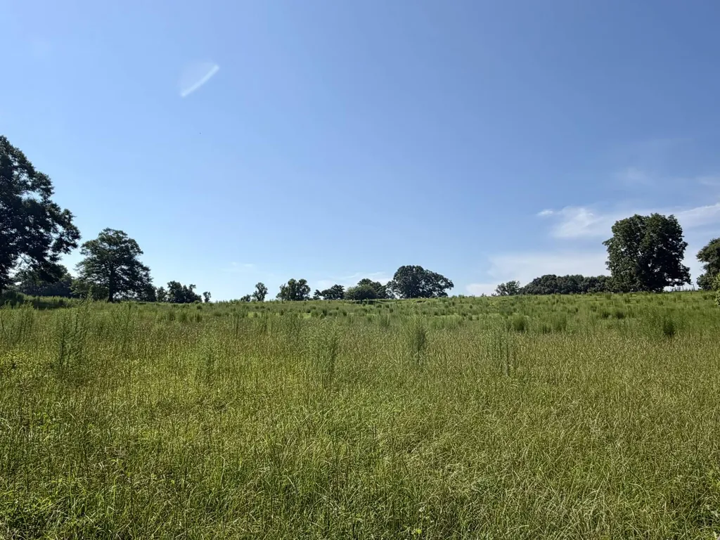 0 Ballard Road Rutledge AL 36071