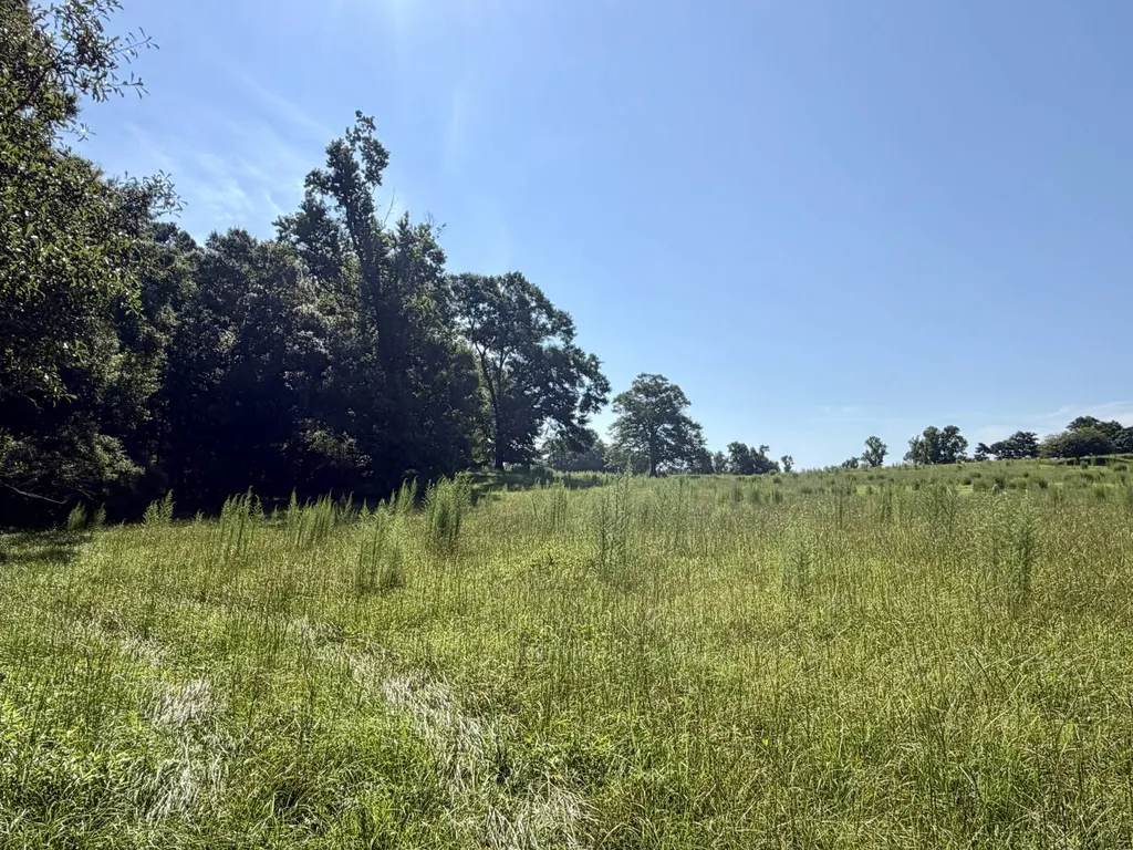 0 Ballard Road Rutledge AL 36071