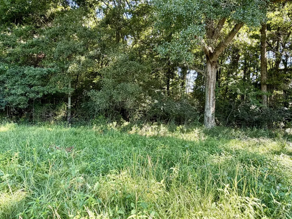 0 Ballard Road Rutledge AL 36071