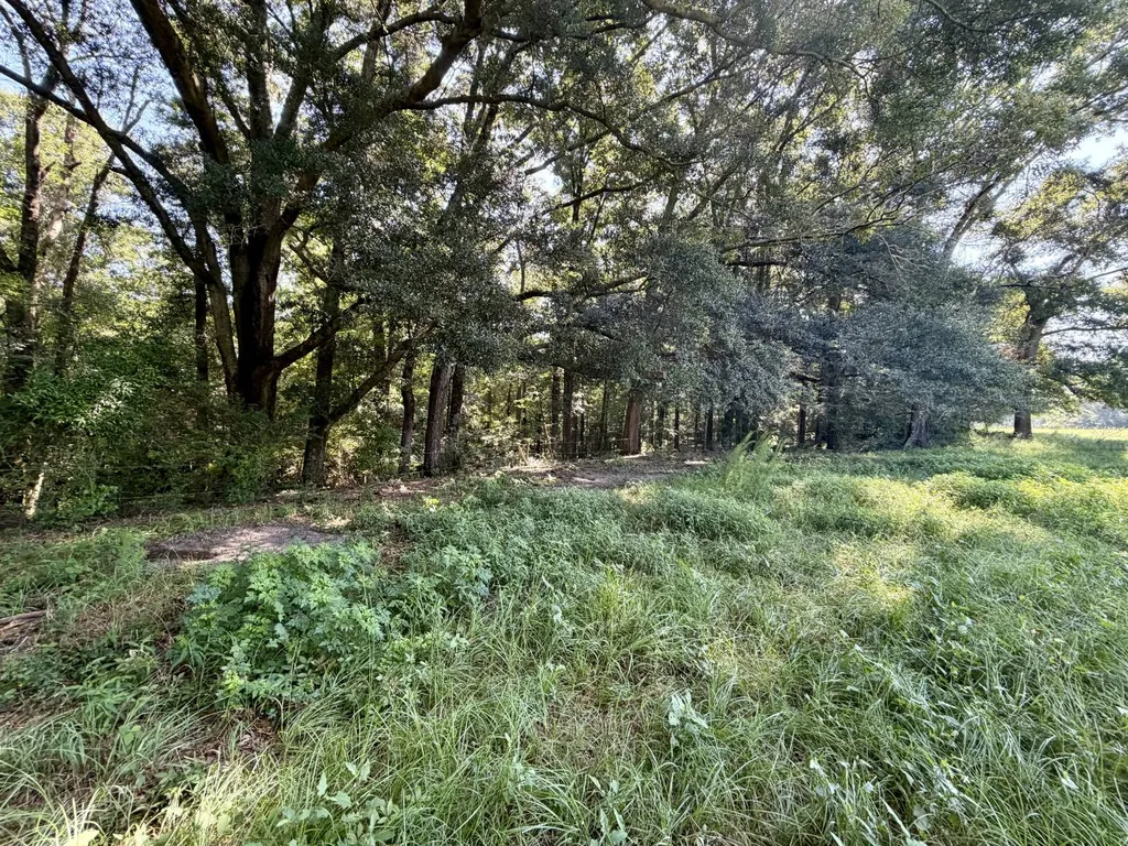 0 Ballard Road Rutledge AL 36071