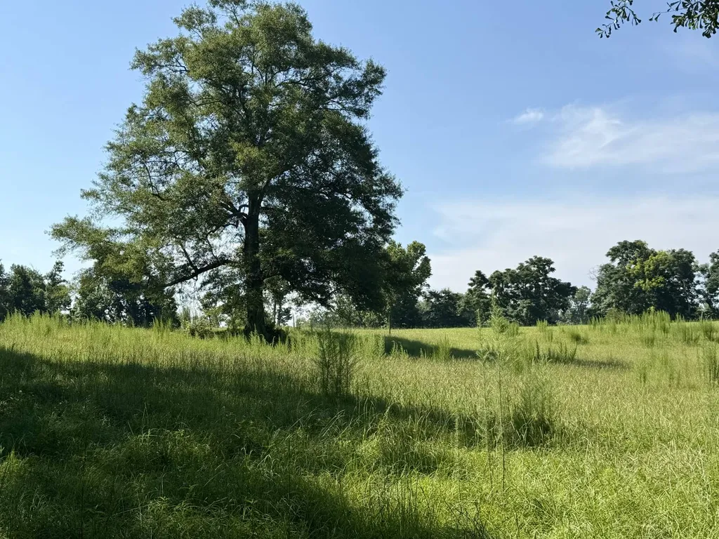 0 Ballard Road Rutledge AL 36071